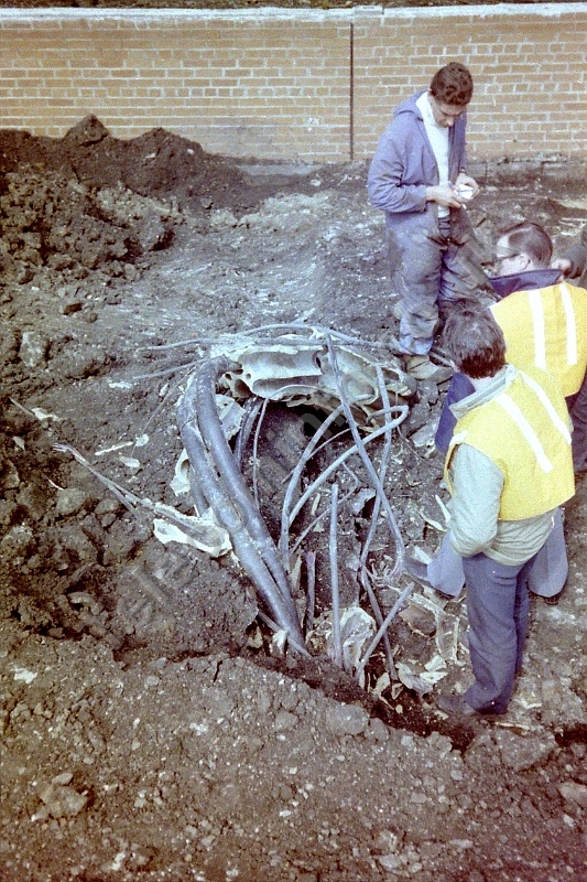 JRM 159 21 Newcastle Cable damage